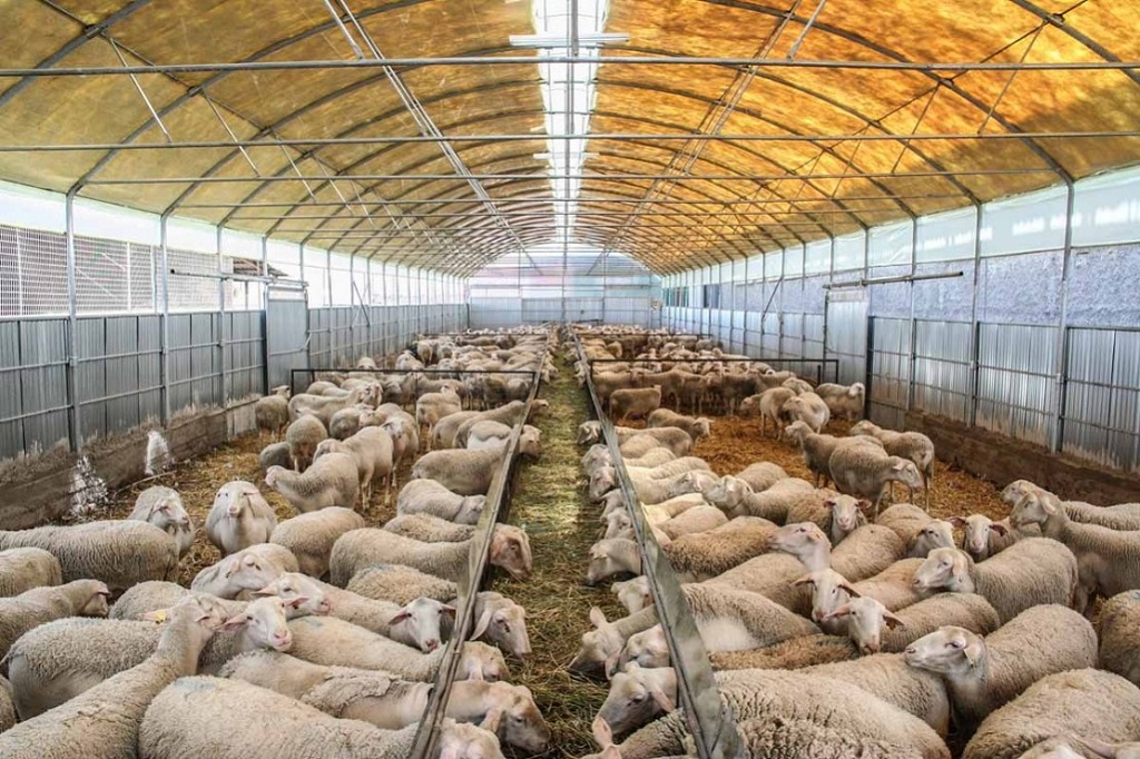 Ψηφιακά οι άδειες για κτηνοτροφικές εγκαταστάσεις και υδατοκαλλιέργειες