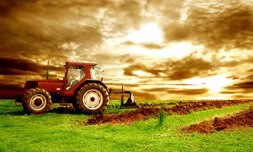 ΕΛΣΤΑΤ: Το ενεργειακό κόστος πλήττει γεωργία και κτηνοτροφία