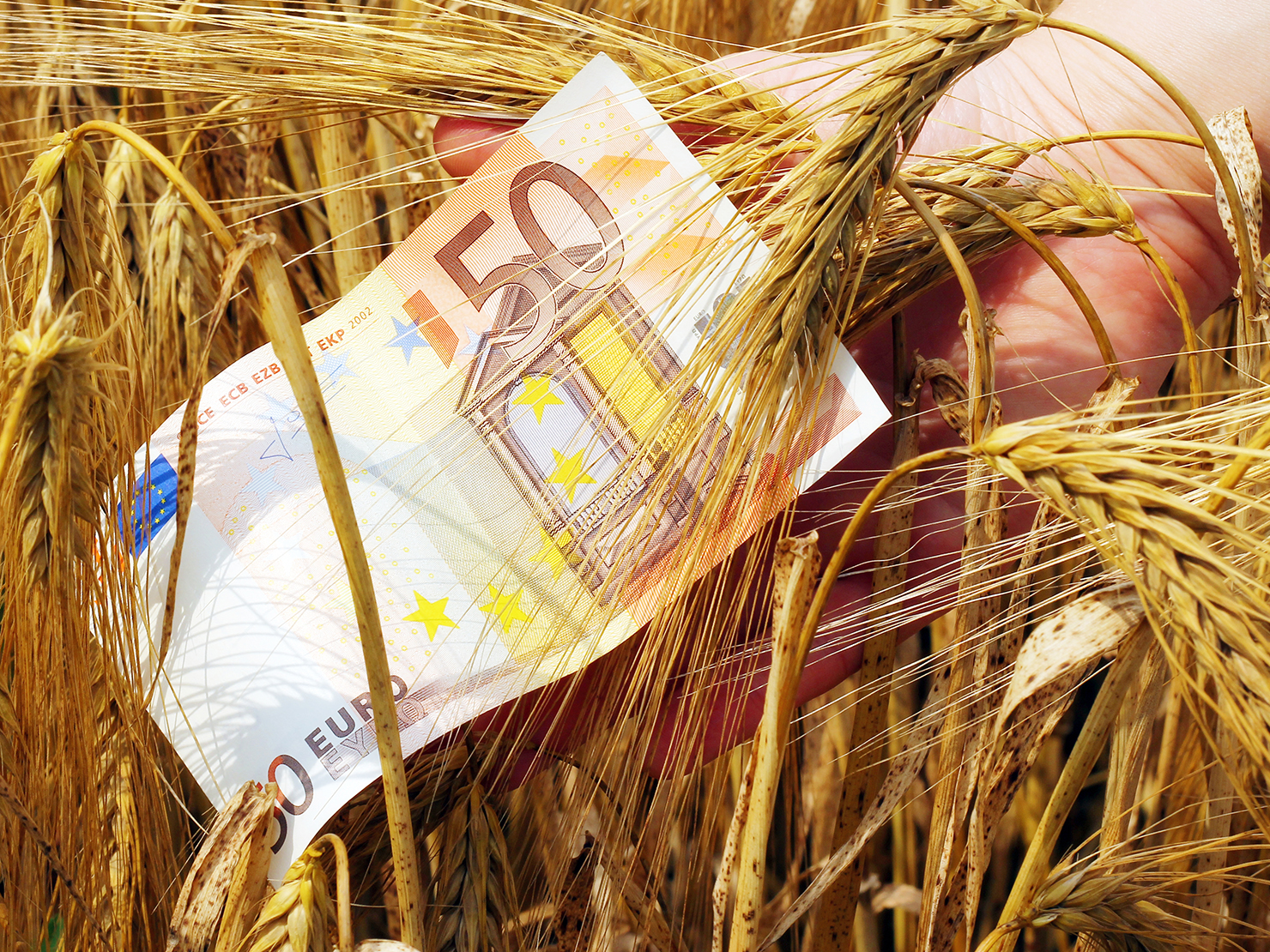 ΟΠΕΚΕΠΕ: Πότε αναμένεται η εξόφληση των επιδοτήσεων σε αγρότες και κτηνοτρόφους