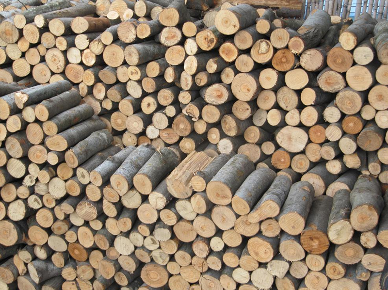 Απαγορεύεται η εξαγωγή ξυλείας από την Ελλάδα έως την 1 Μαρτίου 2023