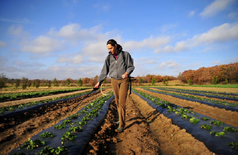 Νέοι αγρότες: Αλλαγές στην κατανομή των κονδυλίων – Τα ποσά ανά Περιφέρεια