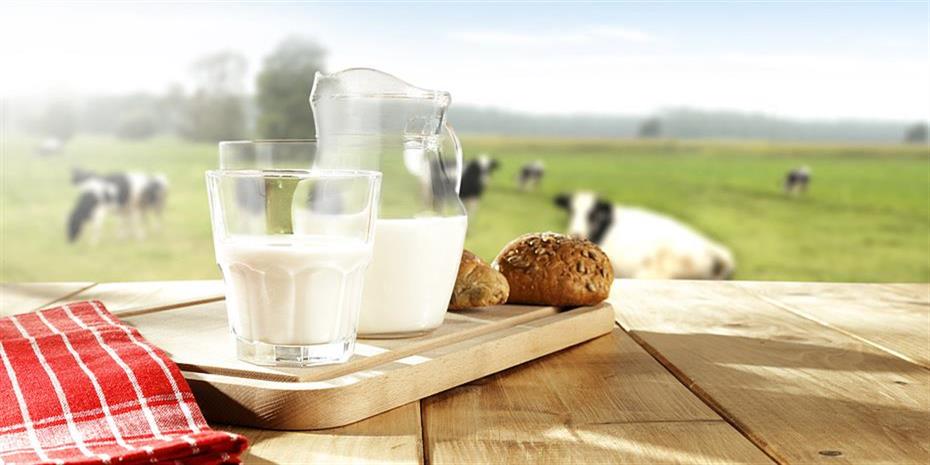 Λιγότεροι 11% οι κτηνοτρόφοι που παρέδωσαν αγελαδινό γάλα
