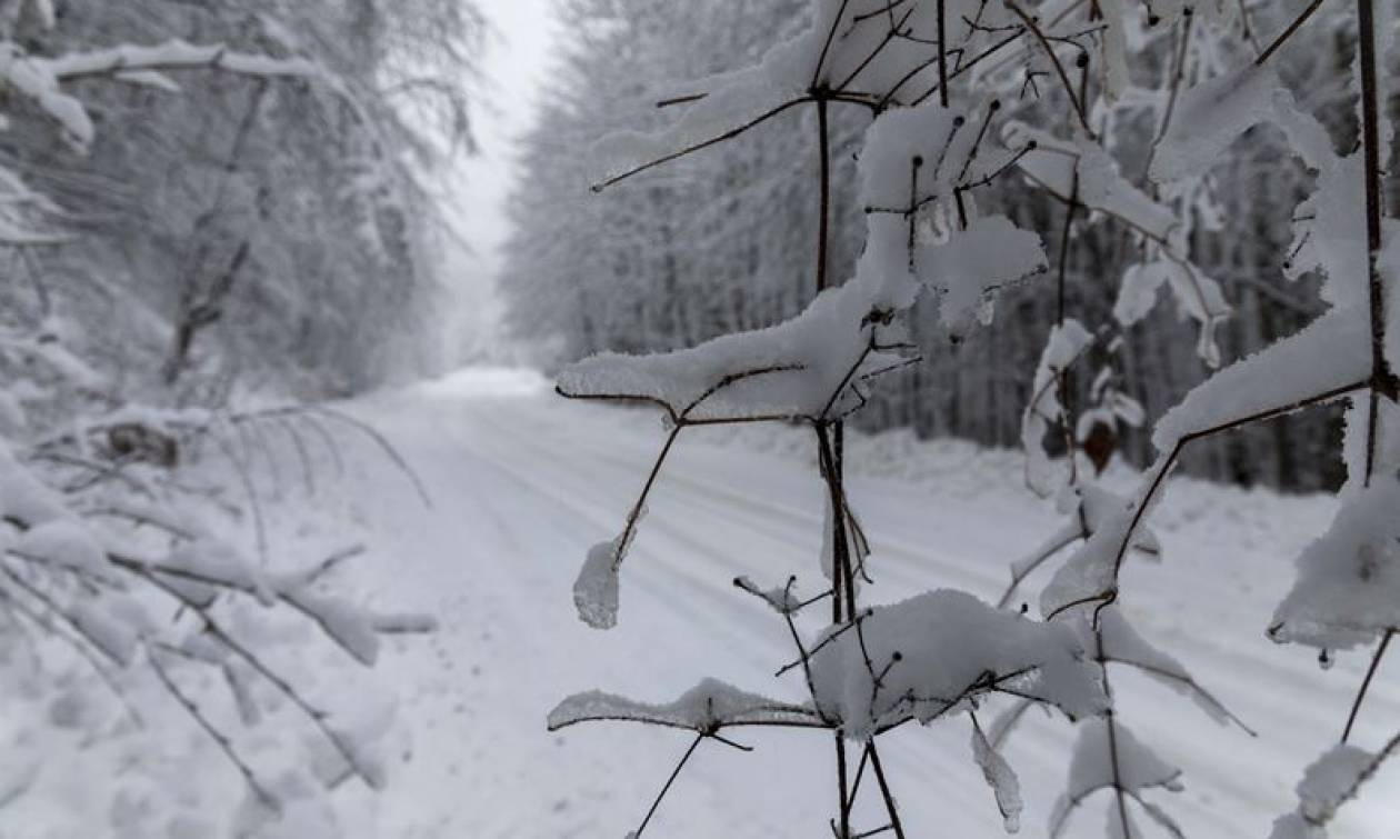 Αρναούτογλου: Ο Φεβρουάριος έρχεται με χιόνια