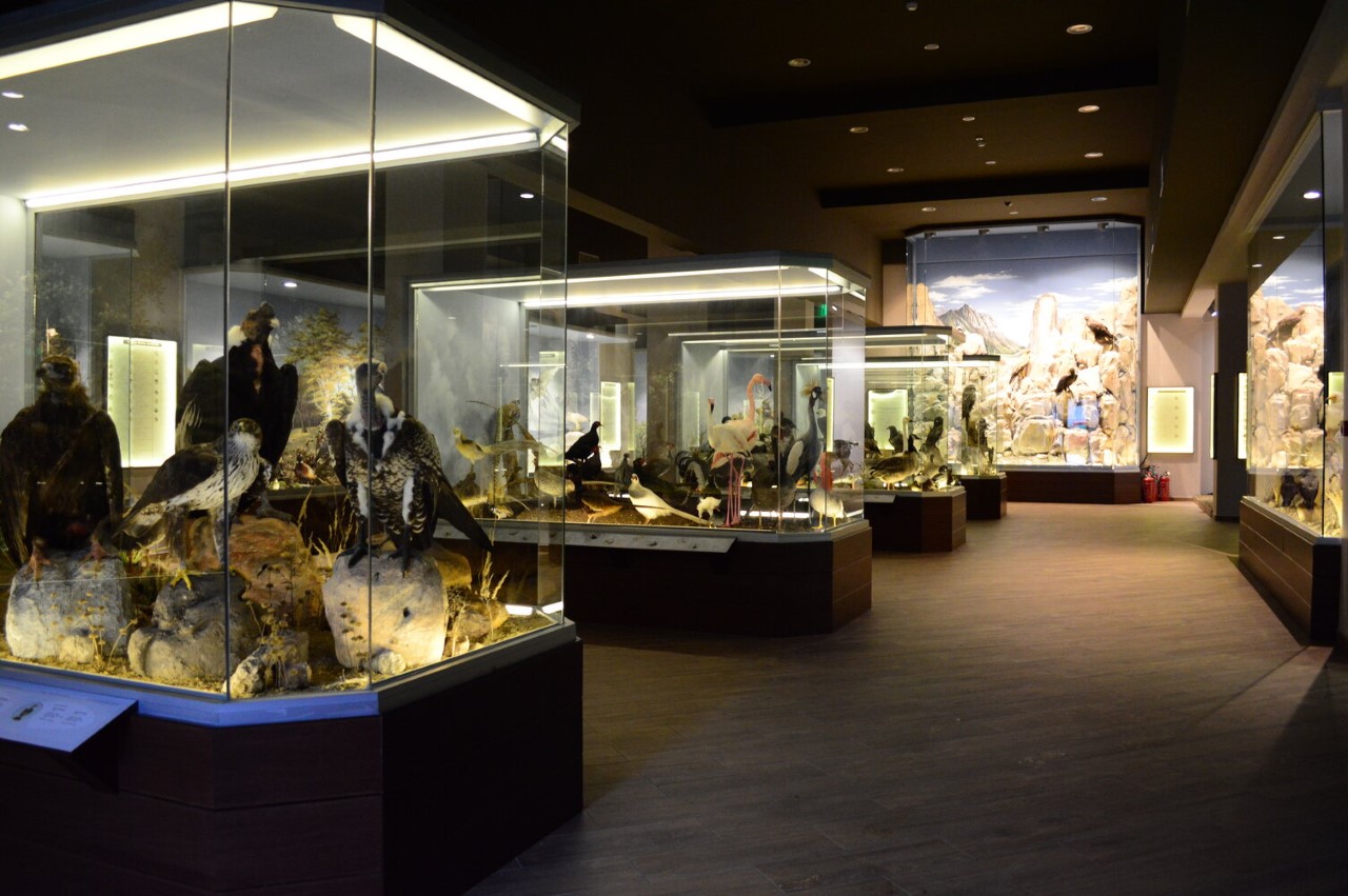 Χορηγία από την ΚΛΙΑΦΑ 3200 μαθητών στο Μουσείο Φυσικής Ιστορίας Μετεώρων και Μουσείο Μανιταριών