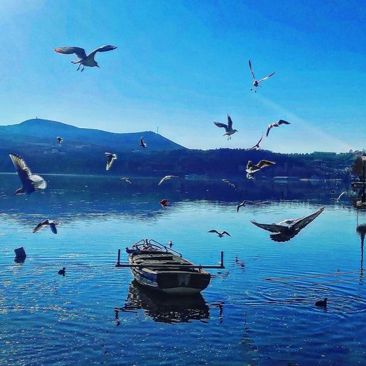 Λίμνη Καστοριάς…* Του Ευθύμη Πολύζου