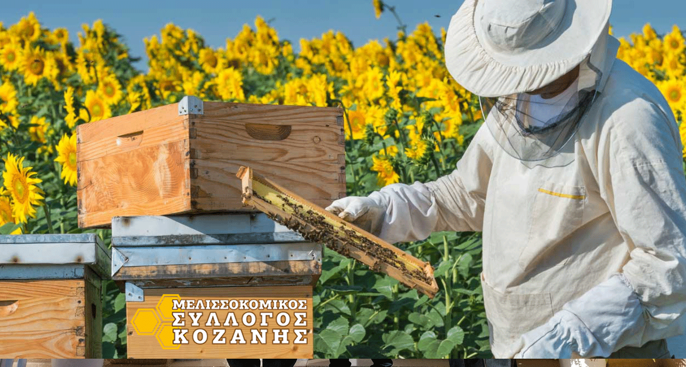 Συμμετοχή του Μελισσοκομικού Συλλόγου ΠΕ Κοζάνης στην Πανελλαδική κινητοποίηση του κλάδου την Πέμπτη 23 Φεβρουαρίου