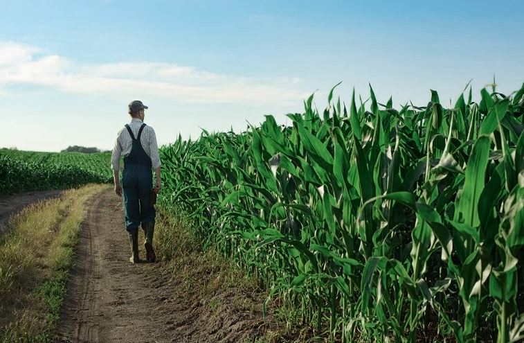 Μητρώο Αγροτών: Τα δικαιολογητικά για την χορήγηση βεβαιώσεων