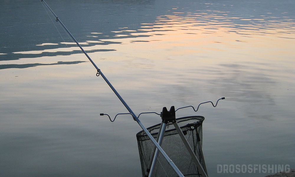 Απαγόρευση αλιείας στα εσωτερικά νερά της Π.Ε. Κοζάνης – Περιφέρειας Δυτικής Μακεδονίας, λόγω αναπαραγωγής των ψαριών
