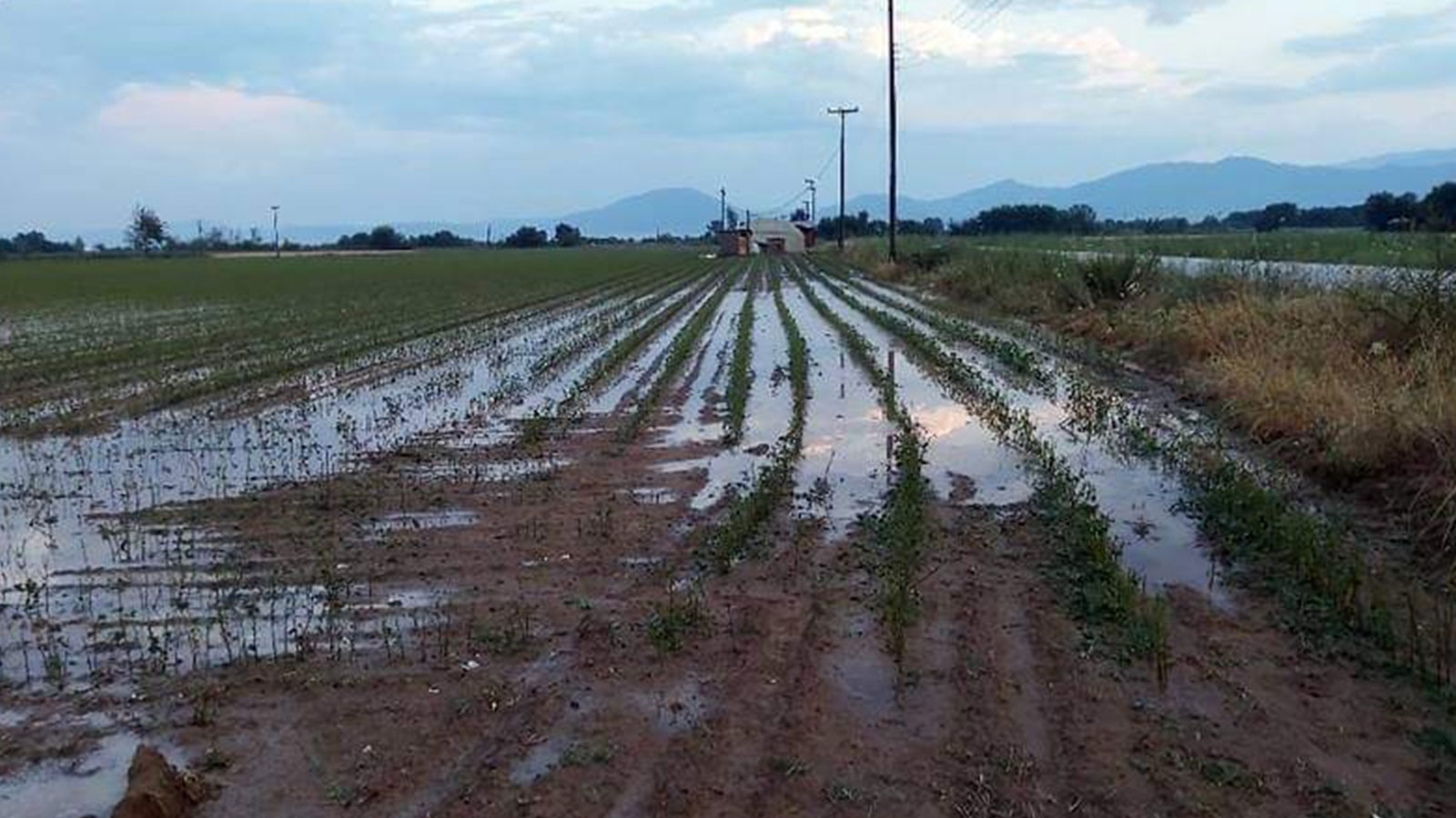 Αποζημιώσεις ζητούν οι αγρότες για ζημιές από τις βροχοπτώσεις