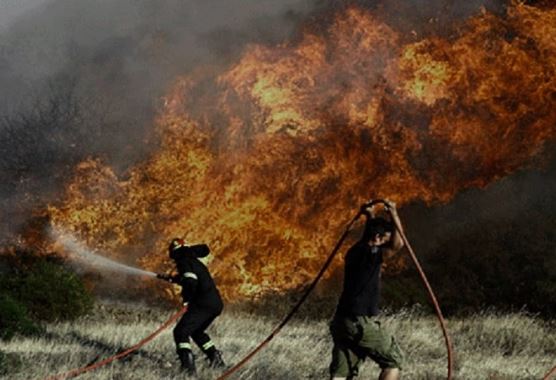 Άσκηση αντιμετώπισης δασικής πυρκαγιάς μεγάλης έκτασης στην περιφερειακή πυροσβεστική διοίκηση Δυτικής Μακεδονίας με την κωδική ονομασία «ΔΙΑ ΠΥΡΟΣ 2023»