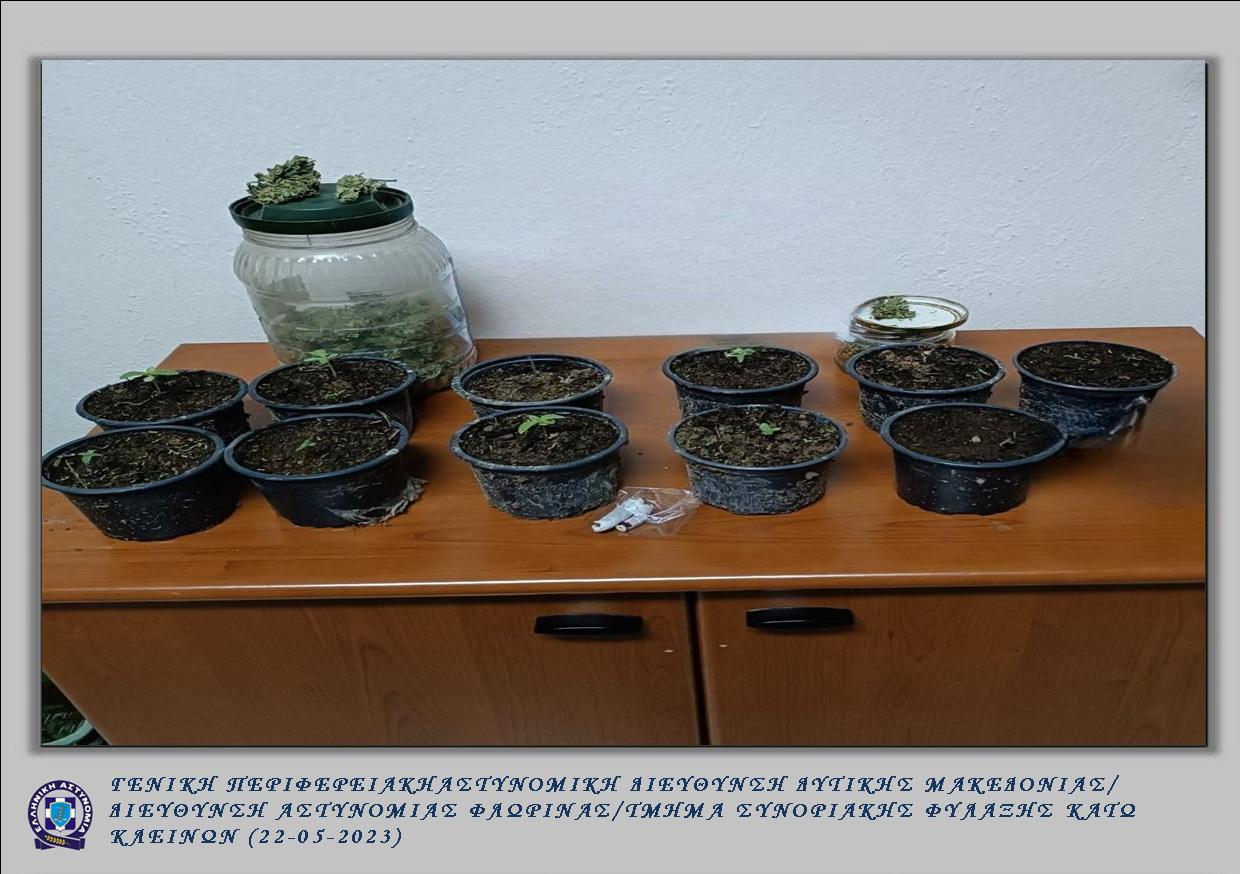 Συνελήφθη 61χρονος σε περιοχή της Φλώρινας για καλλιέργεια δενδρυλλίων κάνναβης και κατοχή ναρκωτικών ουσιών