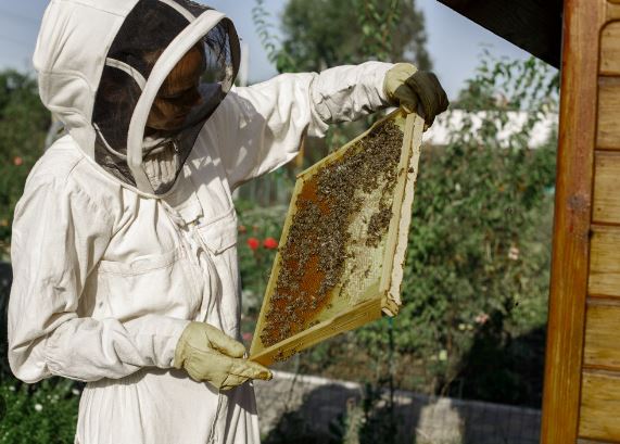 Επιδοτούμενες Δράσεις Μελισσοκομίας έτους 2023