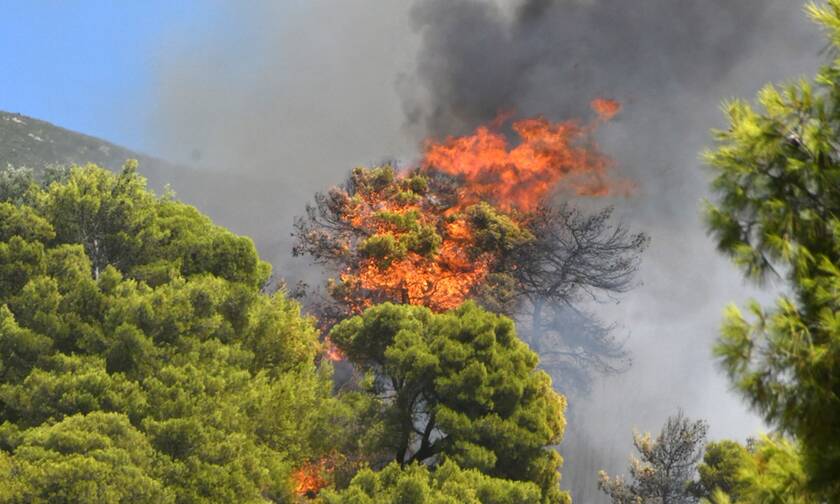 50 δασικές πυρκαγιές σε όλη τη χώρα – Ο χάρτης επικινδυνότητας για αύριο 10/07