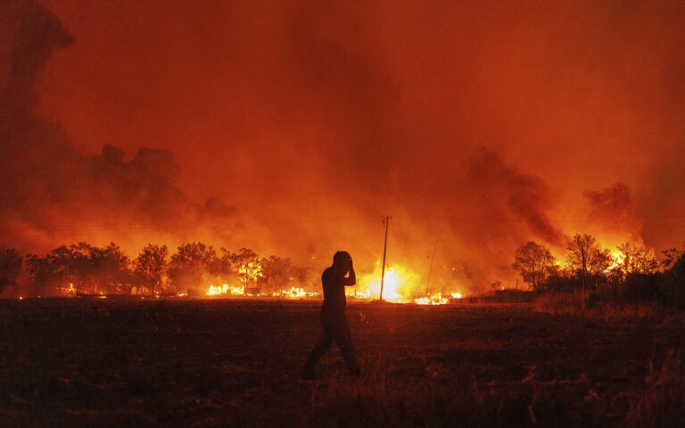 Το τέλος των δέντρων στον Έβρο: Η μεγαλύτερη πυρκαγιά της Ευρώπης από το 1957
