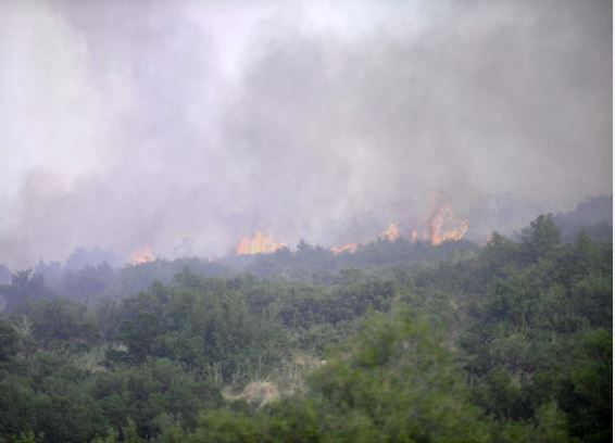 Πρόκληση πυρκαγιάς: Επιβολή διοικητικών προστίμων σε Κοζάνη, Γρεβενά, Φλώρινα