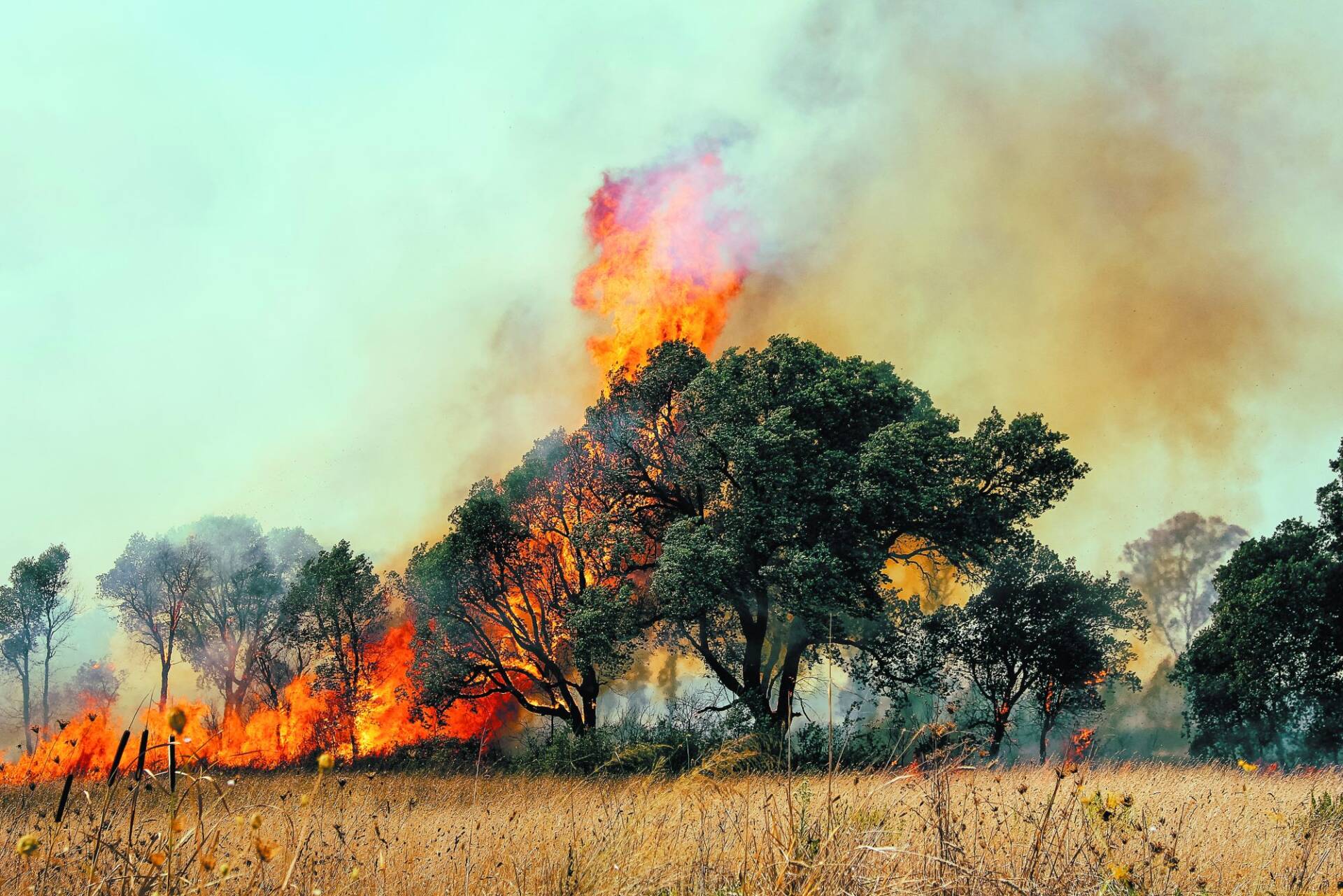 Οι πυρκαγιές στην Ελλάδα * Γράφει ο Χρίστος Παπαδόπουλος