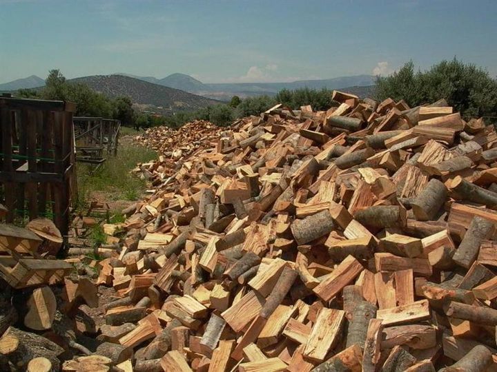 Διαμαρτυρία κατοίκων της Κνίδης για την κατάσχεση των ξύλων από το Δασαρχείο