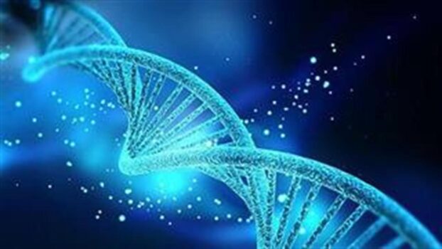 Κυτταρικές και γονιδιακές το 39% των θεραπειών ως το 2028