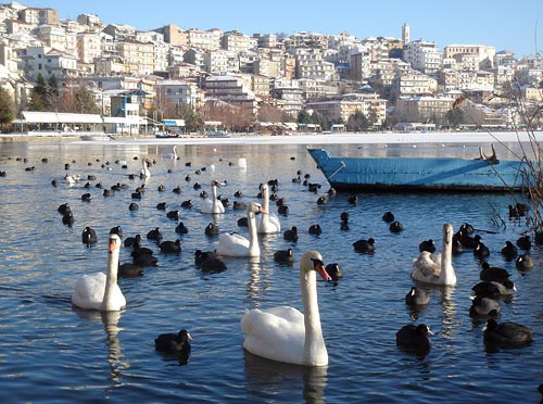 Καστοριά: Σε ετοιμότητα το Κέντρο Περίθαλψης στην περίπτωση που παγώσει η λίμνη