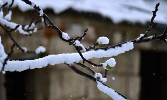 Μετά τις χιονοπτώσεις ήρθε και το πολικό ψύχος στα Γρεβενά. Από -8 έως -12,7 βαθμούς έδειξε το θερμόμετρο