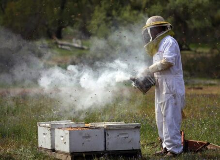 Μελισσοκόμοι: Απέχουν μίλια από την πραγματικότητα οι υπεύθυνοι