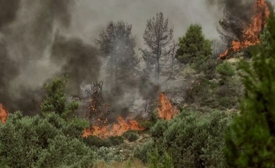 Ελασσόνα: Σε εξέλιξη φωτιά σε δασική έκταση