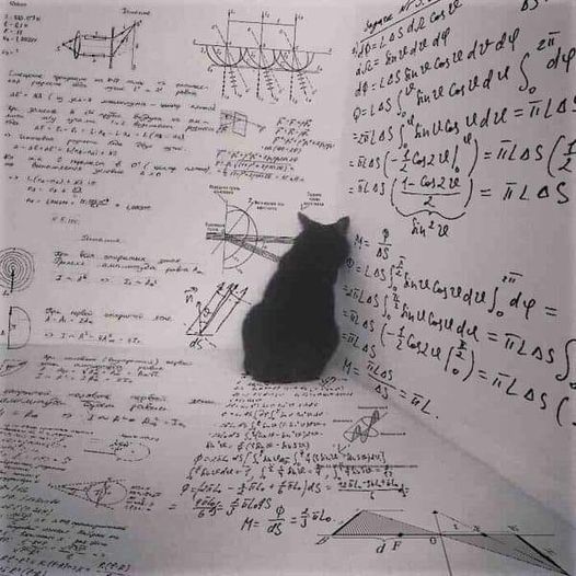 Γάτα στα Μαθηματικά!!!… Διεθνής Ημέρα Μαθηματικών σήμερα… *Του Ευθύμη Πολύζου