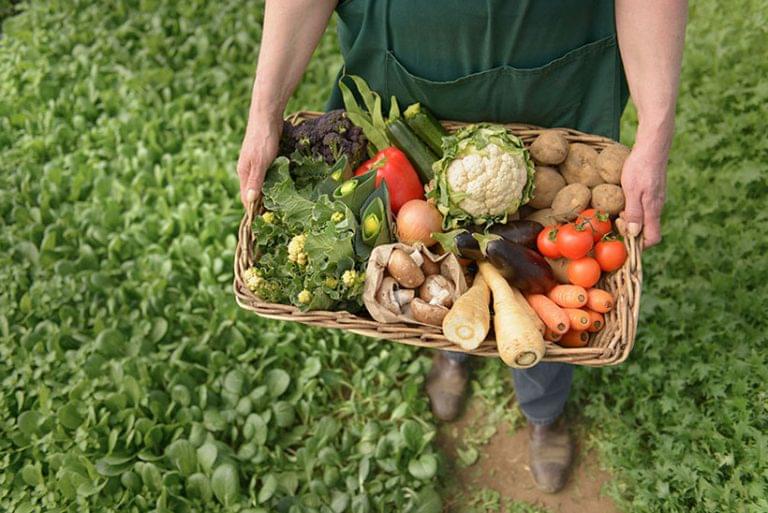 ΕΕ: Ξεκινούν αιτήσεις για τον ευρωπαϊκό διαγωνισμό βιολογικής γεωργίας 2024