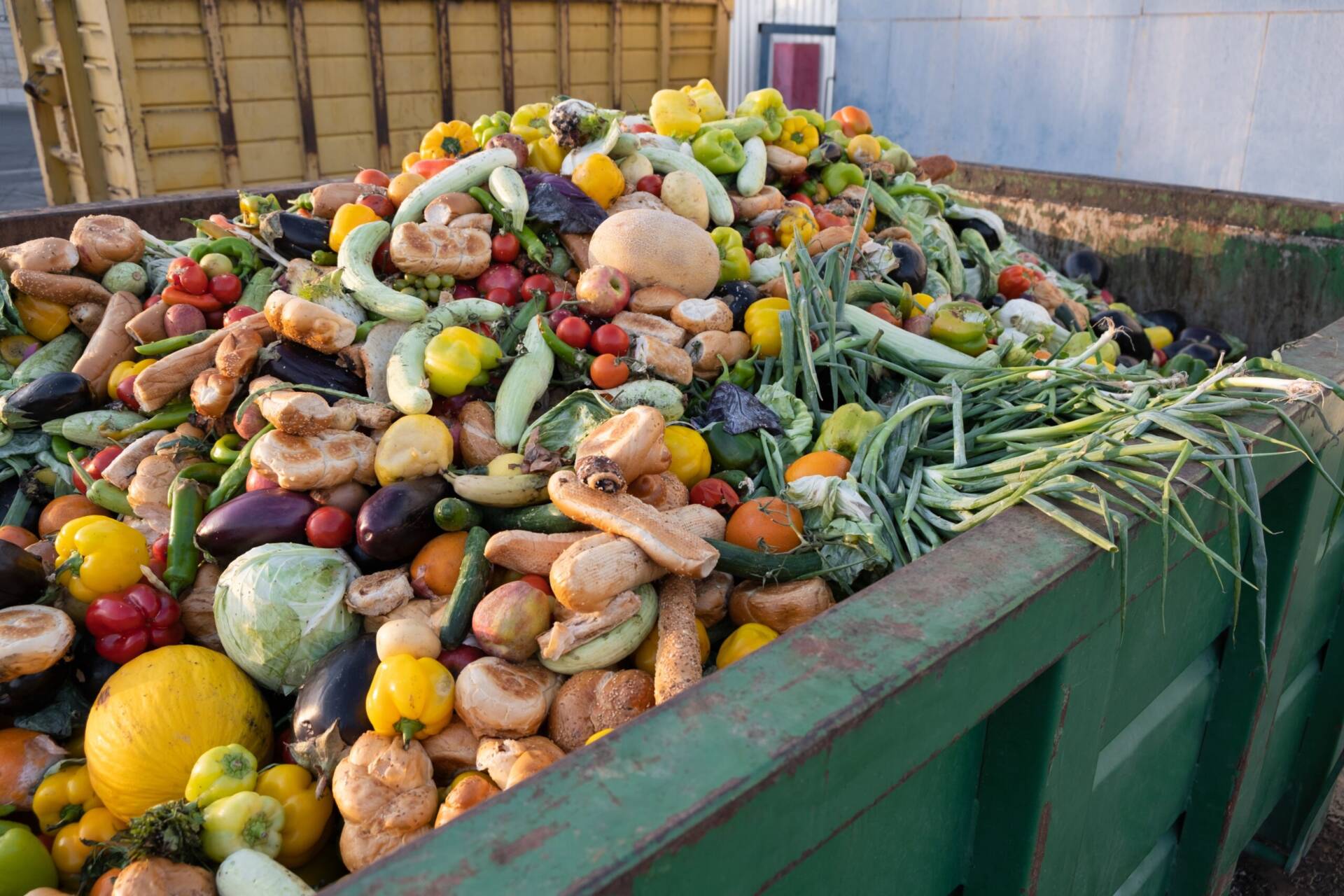 ΟΗΕ – Σπατάλη τροφίμων: Ένα δισεκατομμύριο γεύματα πετιούνται στα σκουπίδια κάθε μέρα σε όλο τον κόσμο