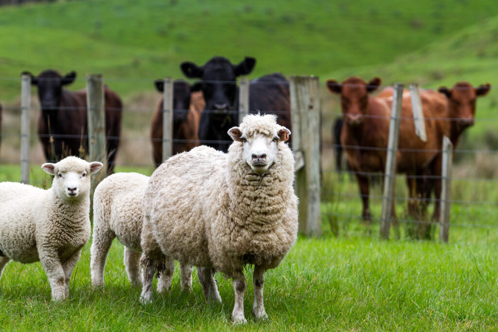 Διεύθυνση Αγροτικής Οικονομίας Π.Ε. Γρεβενών: Ανακοίνωση για τη λειτουργία κτηνοτροφικών εγκαταστάσεων