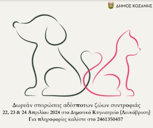 Δωρεάν στειρώσεις αδέσποτων ζώων συντροφιάς από τον Δήμο Κοζάνης στις 22, 23 και 24 Απριλίου 2024