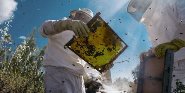 Διεύθυνση Αγροτικής Οικονομίας Π.Ε. Γρεβενών: Αιτήσεις για επιδοτούμενες δράσεις μελισσοκομίας 2024