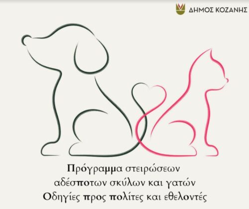 Δήμος Κοζάνης: Πρόγραμμα στειρώσεων αδέσποτων σκύλων και γατών/Οδηγίες προς πολίτες και εθελοντές