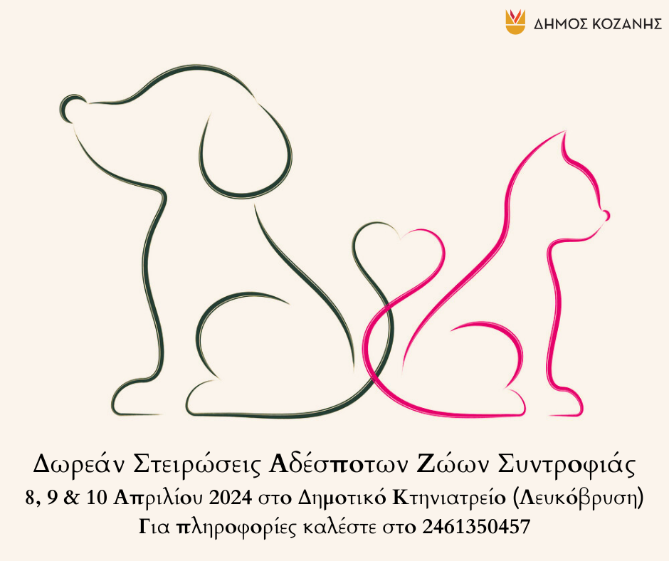 Δωρεάν στειρώσεις αδέσποτων ζώων συντροφιάς από τον Δήμο Κοζάνης στις 8, 9 και 10 Απριλίου 2024