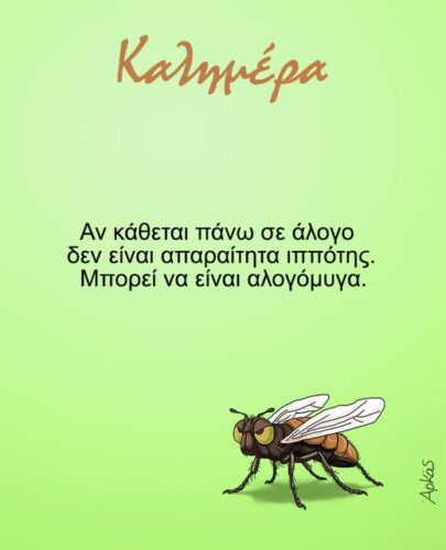 Ιππότες και αλογόμυγες *Σκιτσογραφία του Αρκά
