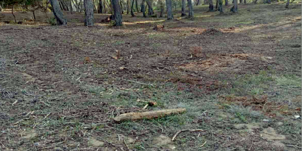 Απάντηση της Ευρωπαϊκής Επιτροπής για το πρόγραμμα AntiNero