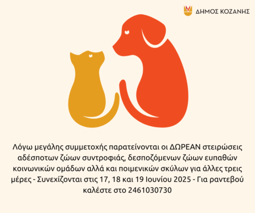 Λόγω μεγάλης συμμετοχής παρατείνονται οι δωρεάν στειρώσεις στην Κοζάνη