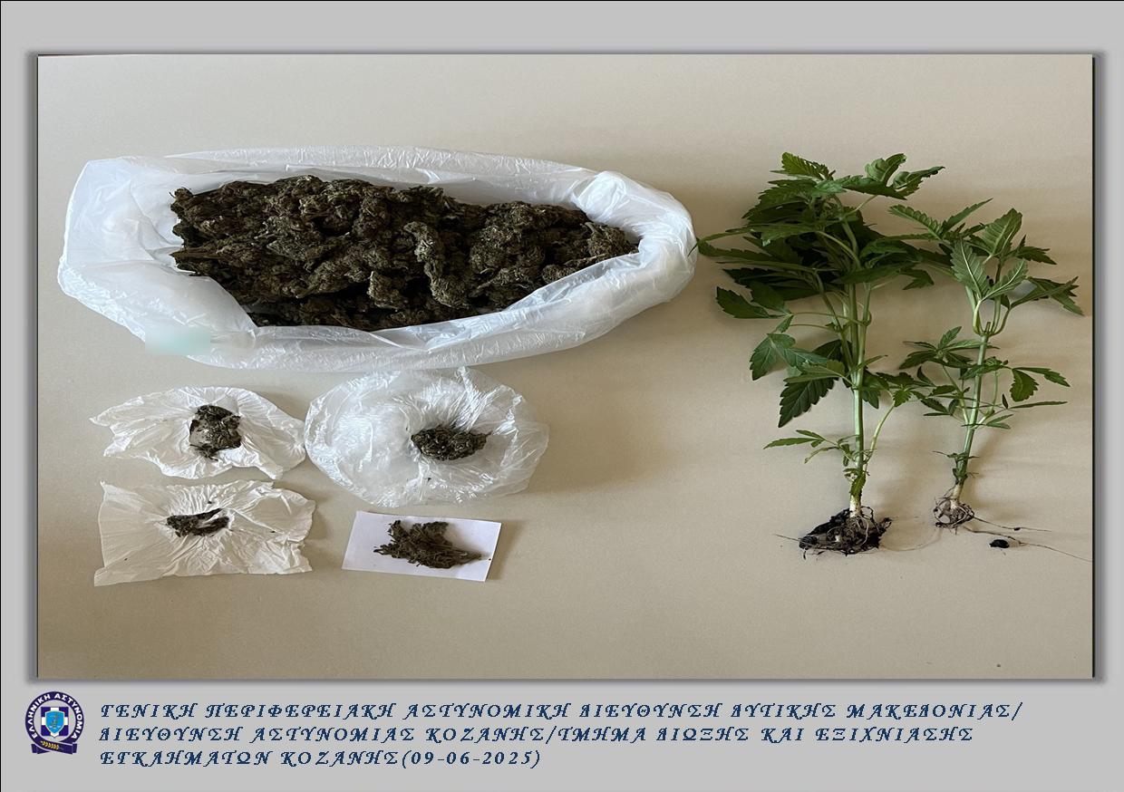 Συνελήφθη από αστυνομικούς του Τμήματος Δίωξης και Εξιχνίασης Εγκλημάτων Κοζάνης 60χρονος ημεδαπός, για διακίνηση ναρκωτικών ουσιών και καλλιέργεια δενδρυλλίων κάνναβης