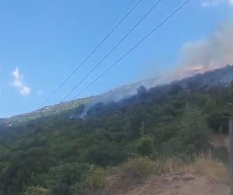 Βελτιωμένη η εικόνα της φωτιάς στη Δεσκάτη Γρεβενών