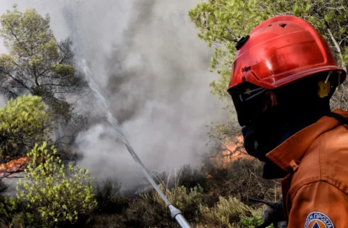 Κοζάνη: Oριοθετήθηκε η φωτιά στα Λιβερά