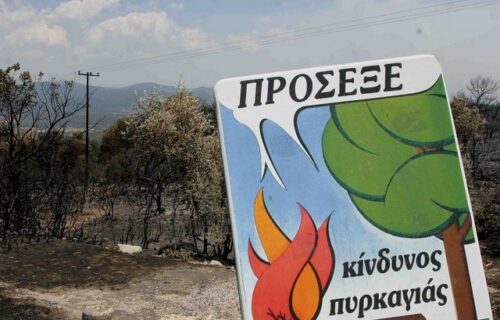 Υψηλός κίνδυνος πυρκαγιάς στα Γρεβενά – Απαγόρευση κυκλοφορίας σε δασικές περιοχές από 10:00 έως 22:00
