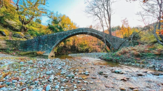 Πρωτοποριακή έρευνα στα Ιωάννινα για τη σωτηρία των πλατάνων – SOS εκπέμπουν τα ελληνικά δάση