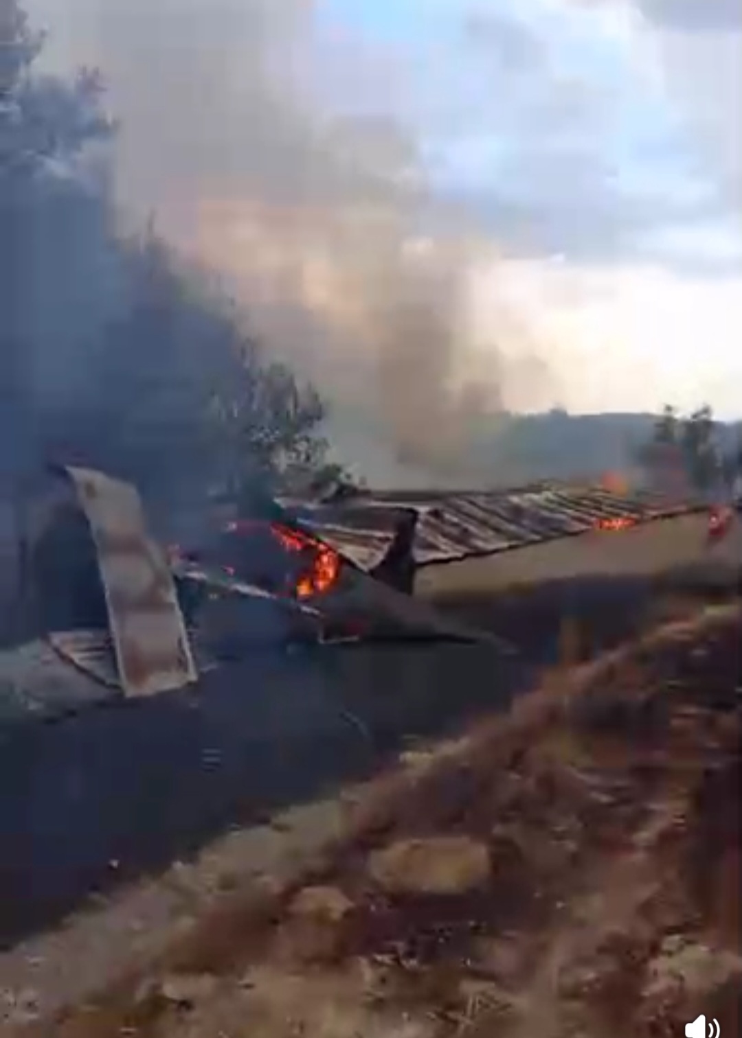 Φωτιά σε μαντρί στις Κυδωνιές Γρεβενών (βίντεο)