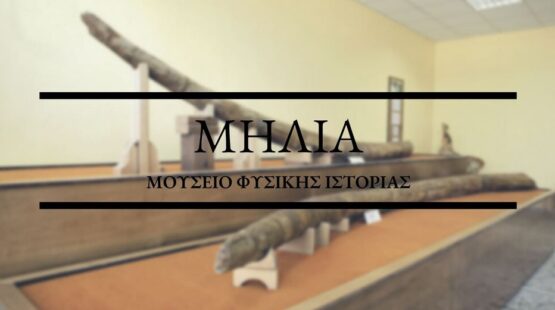 Τοπικοί φορείς Μηλιάς Γρεβενών: Παρέμβαση Υπουργείου Εσωτερικών για τo Κέντρο Παλαιοντολογίας