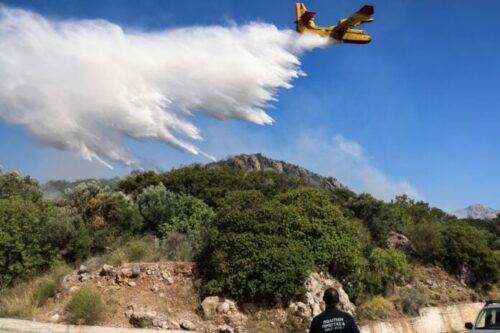 Σε εξέλιξη δασική πυρκαγιά στο Μακρυχώρι Καστοριάς – Ισχυρές πυροσβεστικές δυνάμεις στο σημείο