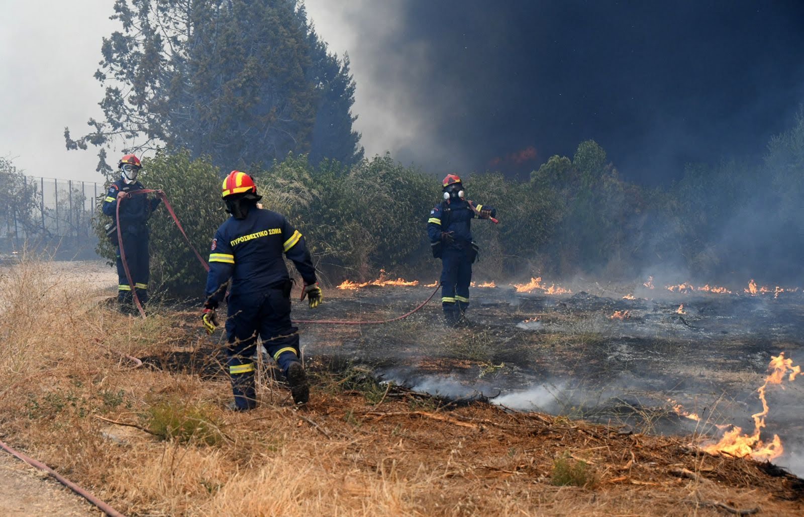 Φωτιά στο ελατοδάσος του Δοτσικού Γρεβενών