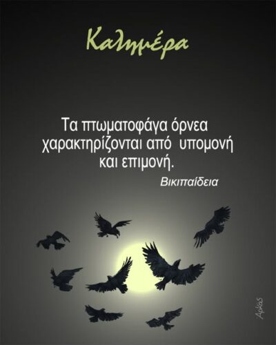 Αρκάς: Η σκοτεινή καλημέρα της Δευτέρας με τα πτωματοφάγα όρνεα