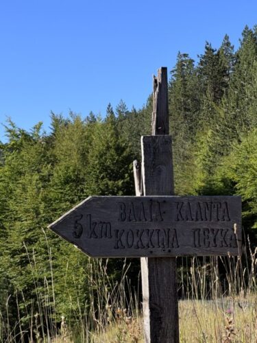 Υπό την σκιά της δημιουργίας, ο Θεός υμνείται. Η αρχή του εκκλησιαστικού έτους στη Βάλια Κάλντα