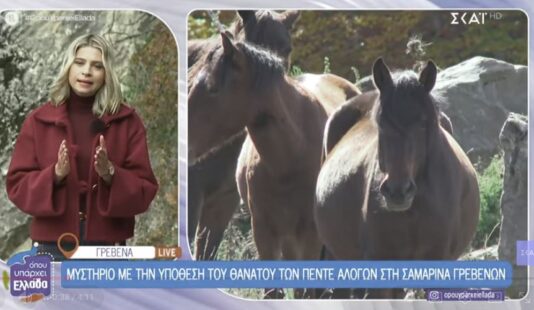 Μυστήριο με τον φρικιαστικό θάνατο πέντε αλόγων στη Σαμαρίνα Γρεβενών