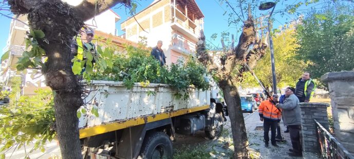 Δήμος Γρεβενών: Εργασίες κλάδευσης στην οδό Μεγάλου Αλεξάνδρου την Πέμπτη 13 Νοεμβρίου